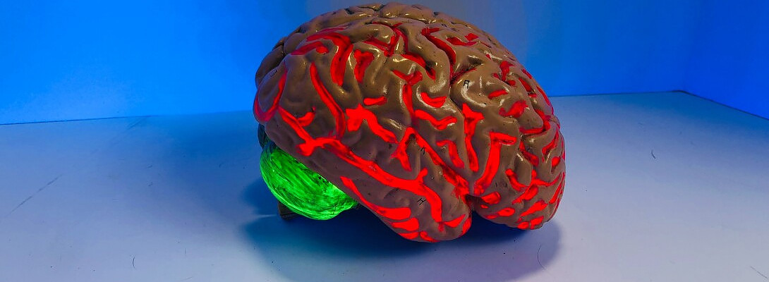 The Mind Possesses Great Strength