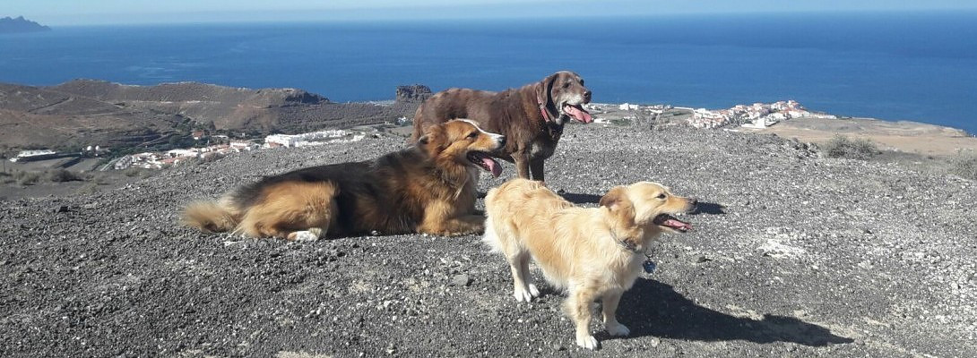 Wealth or Happiness? A simple thought for today