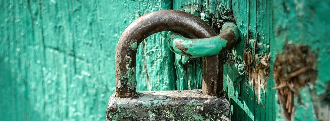 How a plugin almost destroyed her business. Beware!