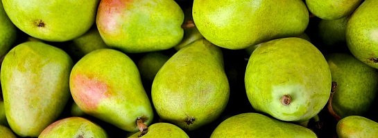 You still have no confidence