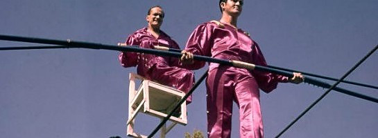 Adding Evergreen Keywords Makes Me Feel Like I'm On A Highwire Act