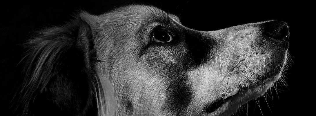 Determined and Always Looking Ahead!