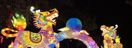 Happy Chinese New year!