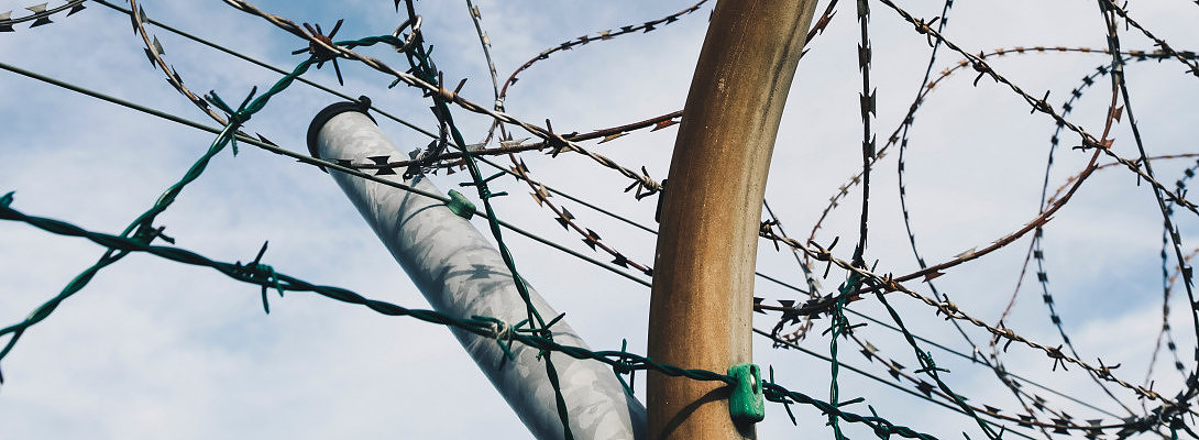 4 Ways You Can Avoid Getting Scammed Online