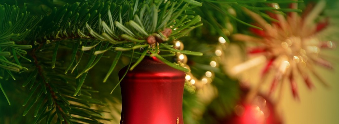 Merry Christmas to Everybody!