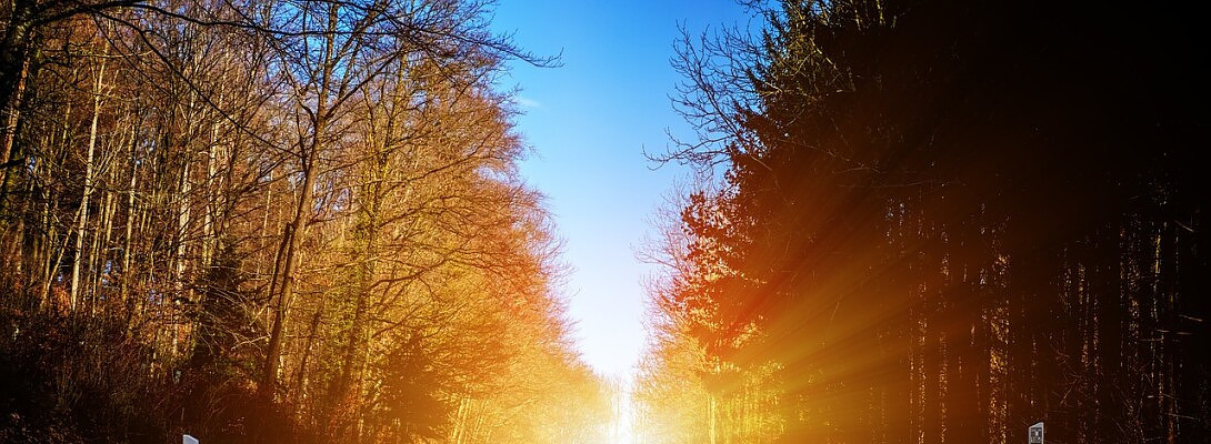 Farewell Dear WA Friends!