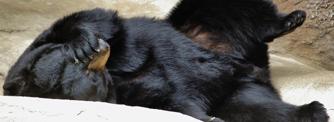 Sorry Kyle, I Broke My Own Rule - SAC Update