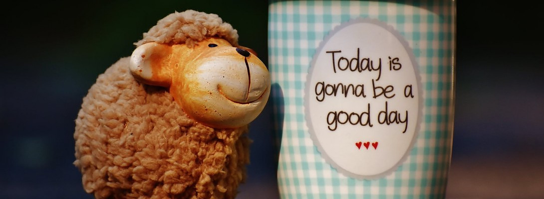 Excited for Progress!