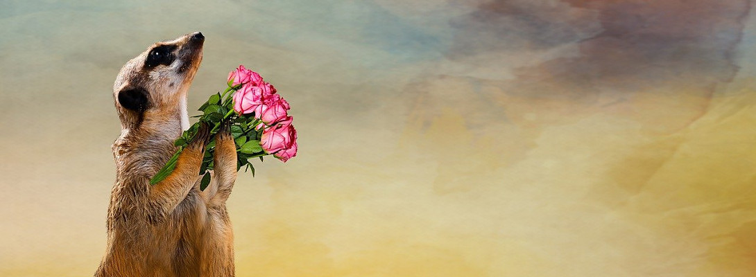 Can Being Grateful Make You Happier ?