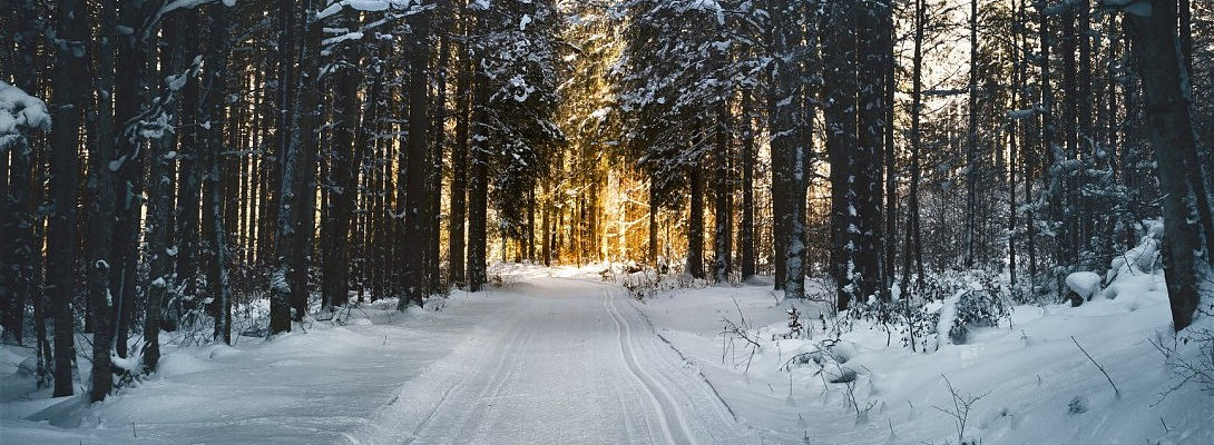 A Winter Song For All of Us