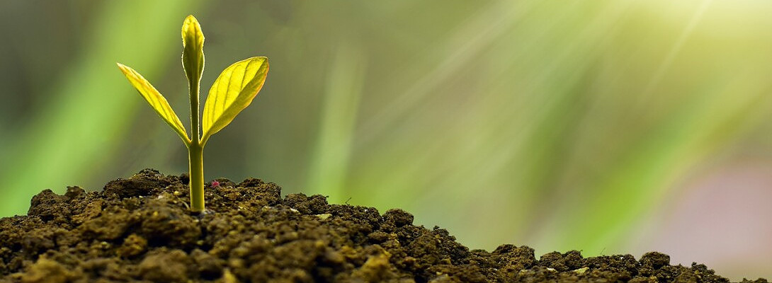 Getting Clear and Not Being Afraid to Start Again