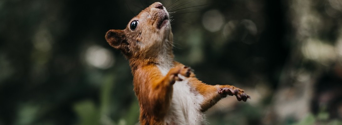 Sorry, I Got Distracted