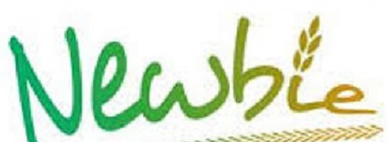 Day 1 on Wealthy Affiliate