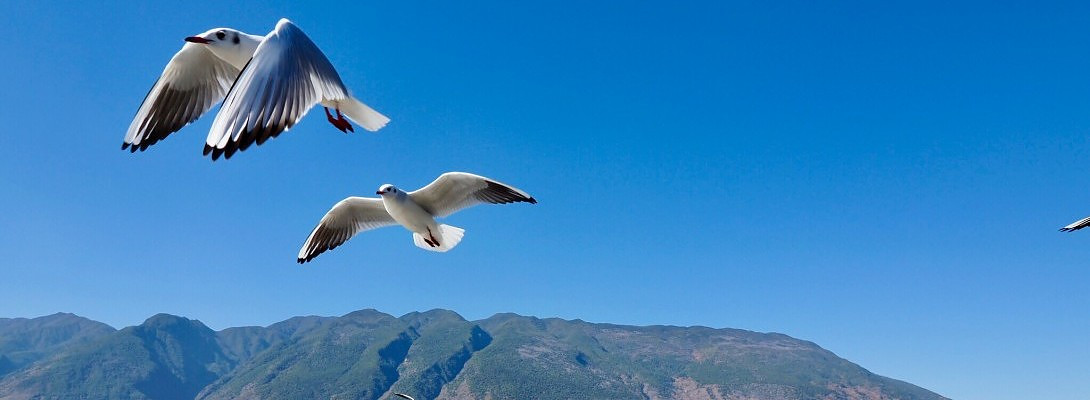 My Initial Impression of WA