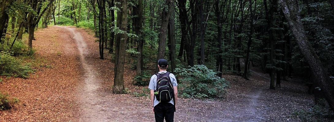 Can You Make a Decidion?