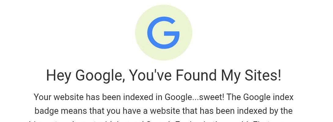 Google Has Found the Website!