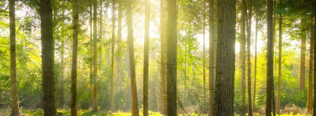 Don’t Get Overwhelmed