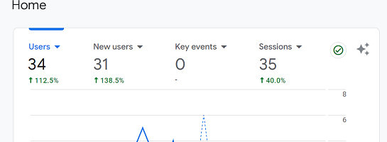New niche site - Website hits increase compared to last month