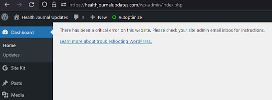 There has been a 'critical error' on this website