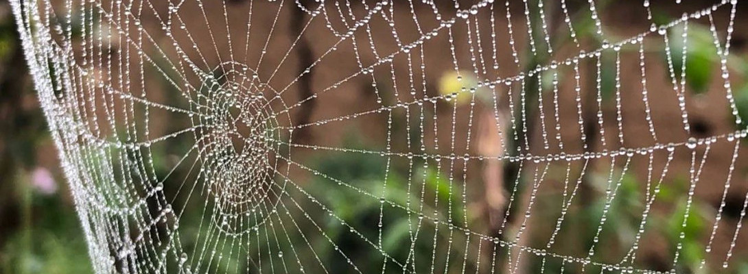 Through the roof stats on my sites