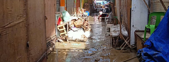 Wildfires, Earthquakes, Typhoons/Hurricanes. Are You Prepared for Disasters?