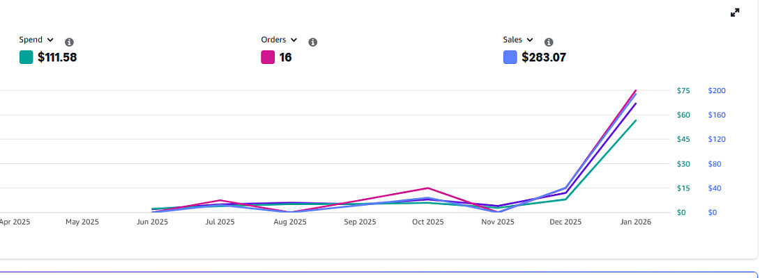 One Month Amazon Ads Campaign Results