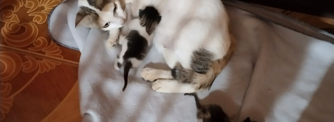 2 New Members to the Waller Family.