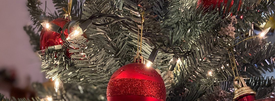 I wish you a merry christmas and a happy new year