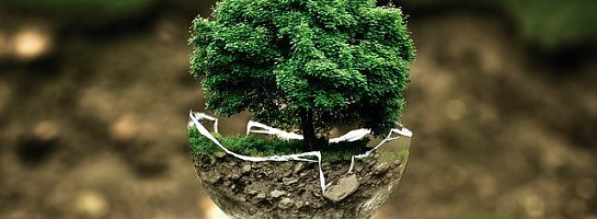 The Seeds I Planted 7 Months Ago Start To Come Out!