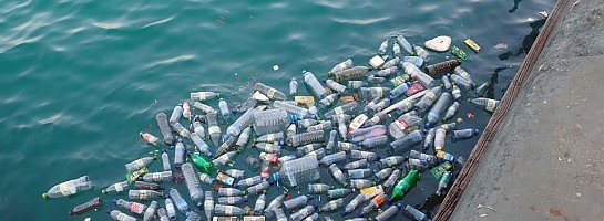 Stop the use of plastic - what can I do to help?