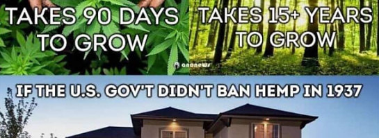 Is Industrial Hemp Legal - How To Make Money With Hemp