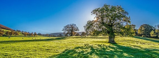 It's time to make a change