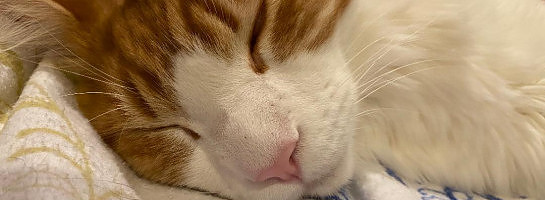 OMG! I'm sooo Excited