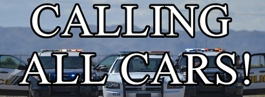 Calling All Cars Survey