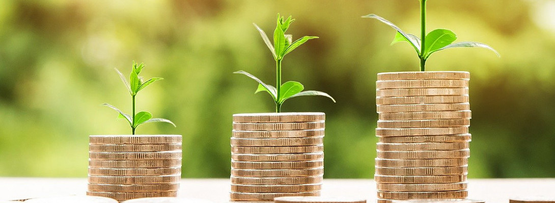 My biggest Google Adsense Payout in November