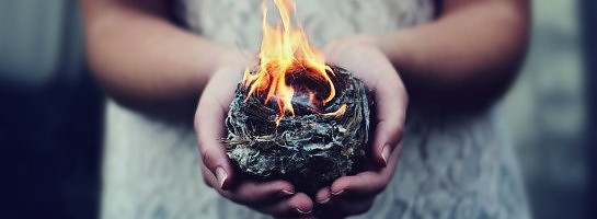 Success? Is That Like A Unicorn?