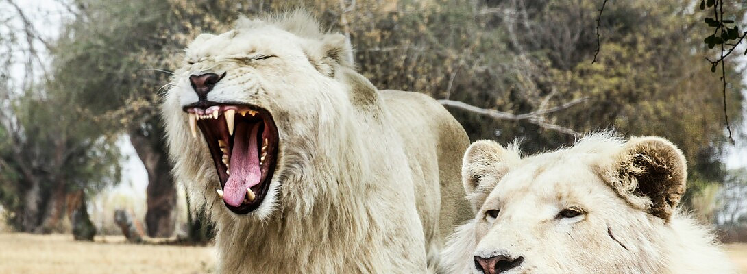 For Brand New Teachers starting their Career