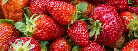 Amazon Revisited | Max One