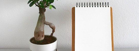 Building An Online Business Is Like Starting A Garden, You First MUST Plant Your Seeds