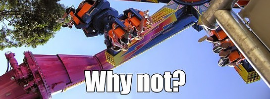 On the value of learning