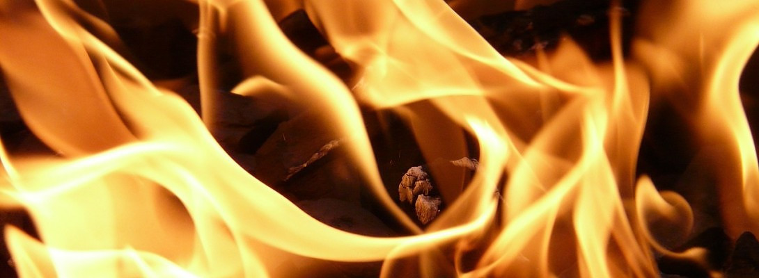 Indexed Too Soon or On Fire?