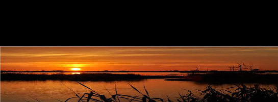 Is the sun setting on your opportunities?