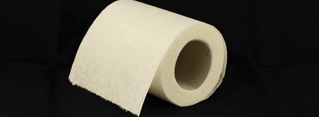 What is the crisis? the virus or the lack of toilet roll?