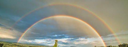 With a Strong Will to Do It Right!