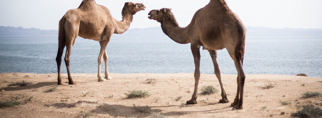 Hump Day here I come!