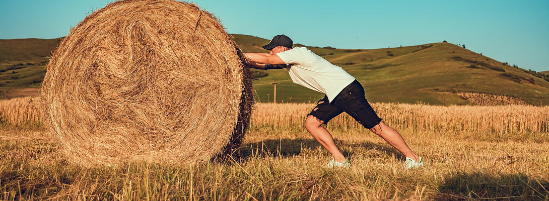 Be Prepared To Put In Lots Of Effort Else No MONEY!