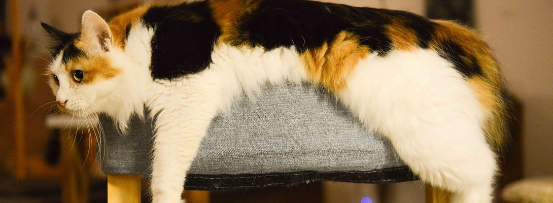 The Journey seems long but I am holding on