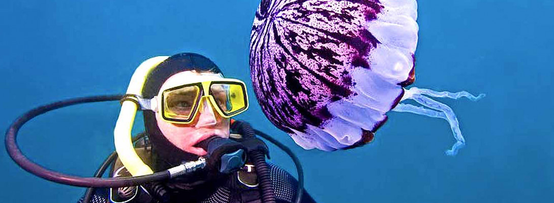 Uncharted Territory!