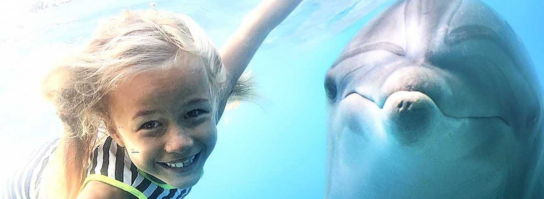 She said, "Can we Bring her home?"