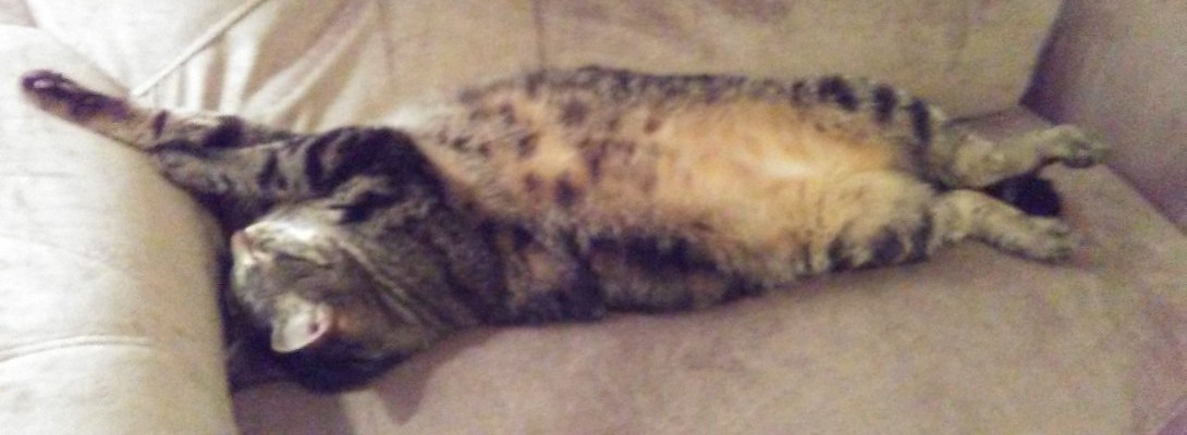 I Just Got Indexed With Google!